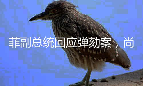 菲副总统回应弹劾案，尚未考虑辞职