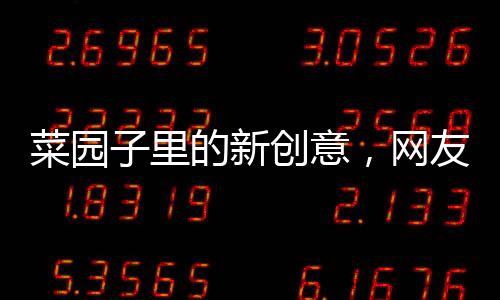 菜园子里的新创意，网友设专用通道养鸡新模式