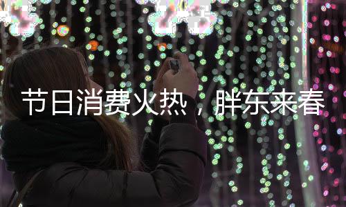 节日消费火热，胖东来春节前单日销售额突破1.3亿