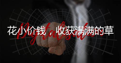 花小价钱，收获满满的草莓，仅需花费六十多元购买三十斤新鲜草莓，带你领略水果之王的魅力
