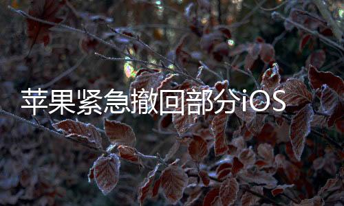 苹果紧急撤回部分iOS 18.4 Beta 1更新：iPhone 12等升级后无限重启