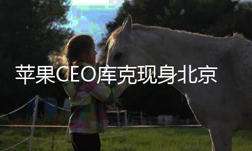 苹果CEO库克现身北京，登景山公园领略古都魅力