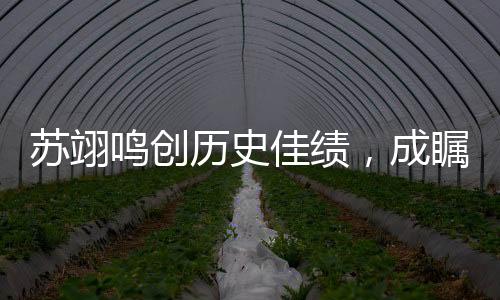 苏翊鸣创历史佳绩，成瞩目焦点