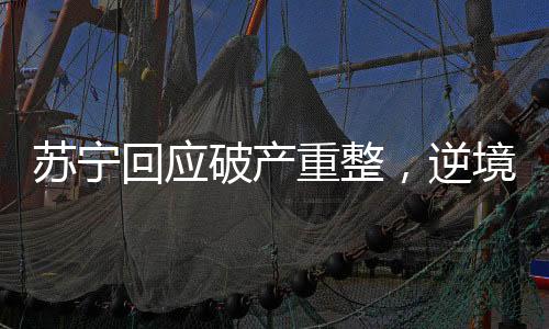 苏宁回应破产重整，逆境中的重生与转型之路
