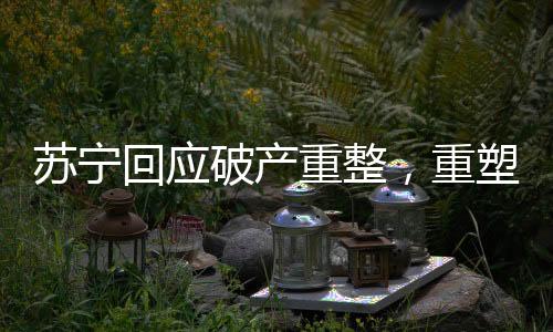 苏宁回应破产重整，重塑辉煌的战略调整与未来发展动向