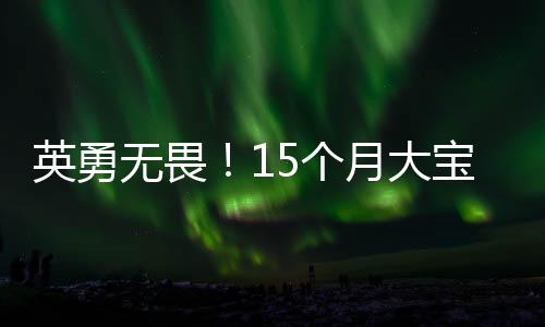 英勇无畏！15个月大宝宝滚爬救妈