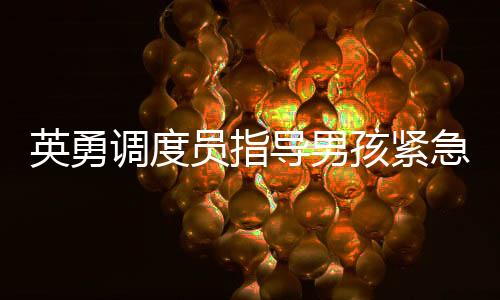 英勇调度员指导男孩紧急接生，亲情至上的救援故事传递温情