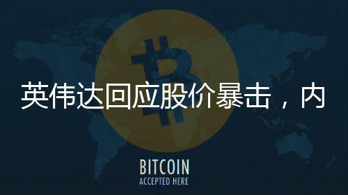 英伟达回应股价暴击，内部分析与市场洞察