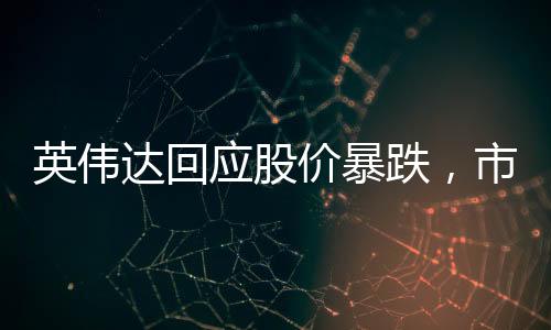 英伟达回应股价暴跌，市场波动背后的真相解析