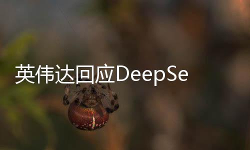 英伟达回应DeepSeek模型，深度学习的最新进展与未来展望