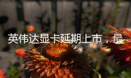 英伟达显卡延期上市，最新动态与技术展望