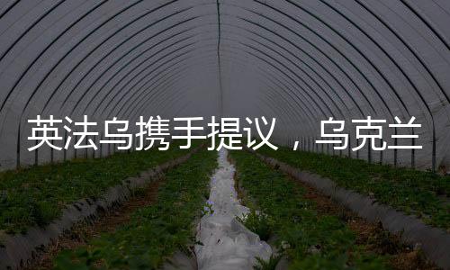 英法乌携手提议，乌克兰和平计划迈向新篇章