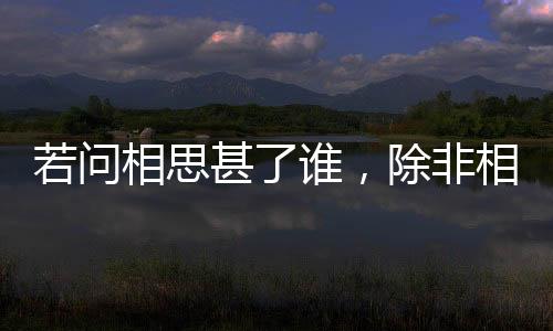 若问相思甚了谁，除非相见时