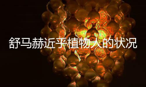 舒马赫近乎植物人的状况更新