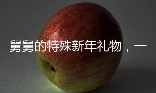 舅舅的特殊新年礼物，一车温馨关怀与难言之情交织的瞬间