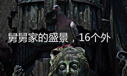 舅舅家的盛景，16个外甥齐聚一堂