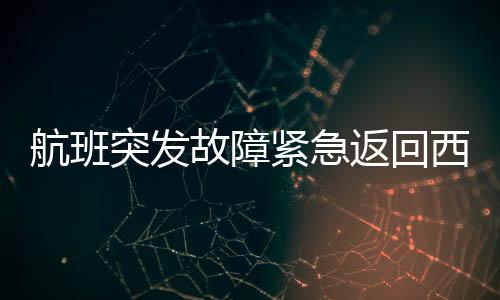 航班突发故障紧急返回西安，疑似发动机起火事件调查
