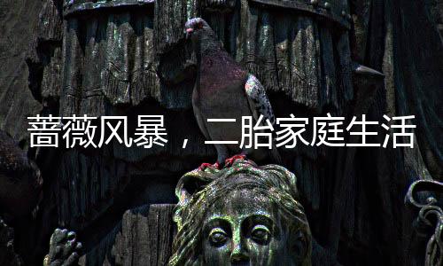 蔷薇风暴，二胎家庭生活真实写照