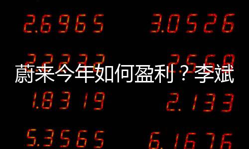 蔚来今年如何盈利？李斌解释了三个小时