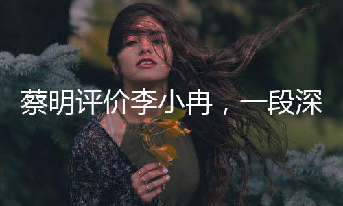 蔡明评价李小冉，一段深度的解读与解析（新闻文章）