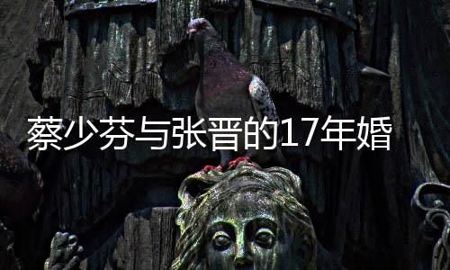 蔡少芬与张晋的17年婚姻，爱情长跑背后的坚守与幸福