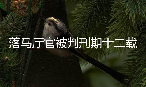 落马厅官被判刑期十二载，私藏三百六十九发子弹背后的故事