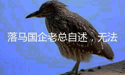 落马国企老总自述，无法兑现的婚约与人生的失重教训