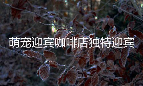 萌宠迎宾咖啡店独特迎宾方式，猫咪化身温馨接待员