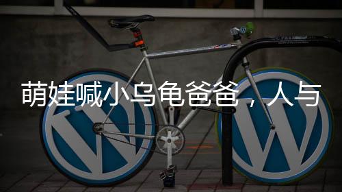 萌娃喊小乌龟爸爸，人与自然的奇妙互动
