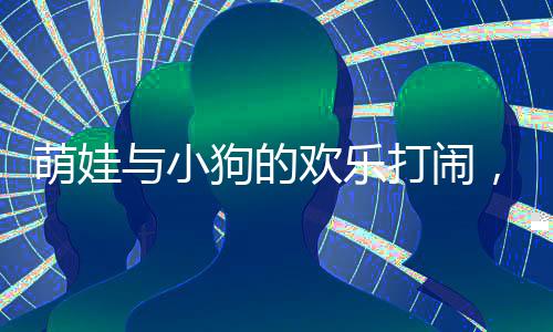 萌娃与小狗的欢乐打闹，狗爸爸化身和事佬，和谐家庭展现温馨一幕