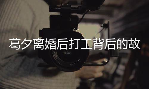 葛夕离婚后打工背后的故事