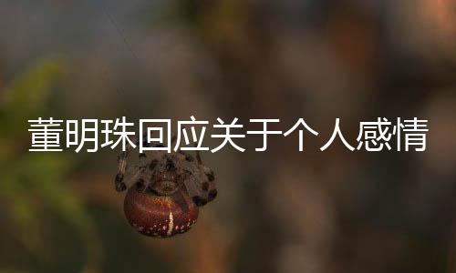 董明珠回应关于个人感情状态的热议，专注事业，未谈恋爱