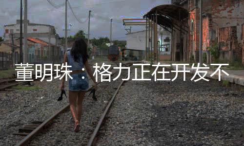 董明珠：格力正在开发不要电的空调！直连光伏 0电费