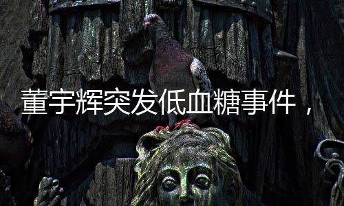 董宇辉突发低血糖事件，聚焦背后的故事与健康警醒