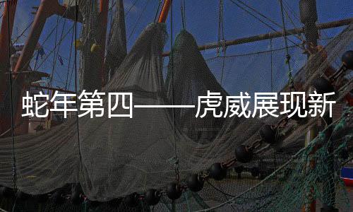 蛇年第四——虎威展现新篇章