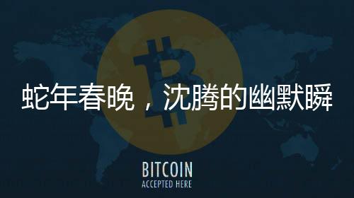 蛇年春晚，沈腾的幽默瞬间成为全场亮点