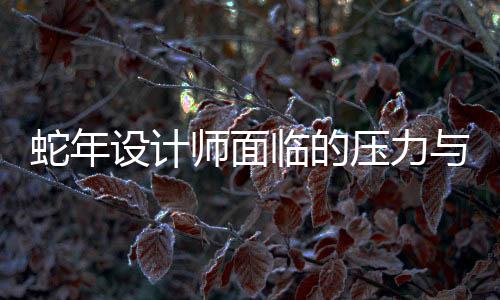 蛇年设计师面临的压力与挑战