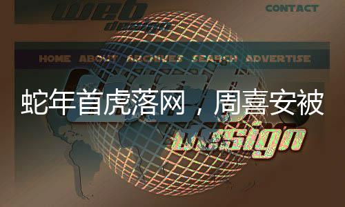 蛇年首虎落网，周喜安被查事件引关注
