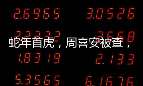 蛇年首虎，周喜安被查，揭秘背后不为人知的真相