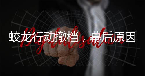 蛟龙行动撤档，幕后原因与未来展望