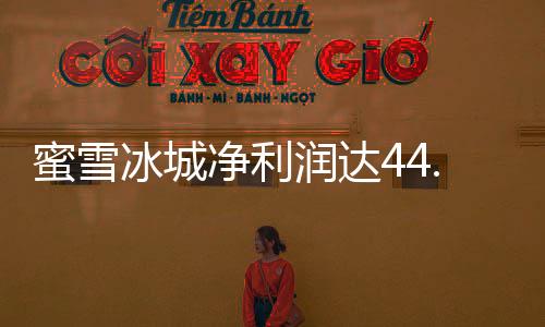 蜜雪冰城净利润达44.5亿，揭秘其成功背后的故事