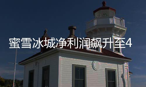蜜雪冰城净利润飙升至44.5亿，业绩亮眼，展望未来发展