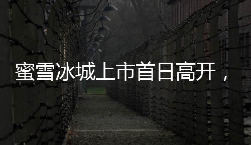 蜜雪冰城上市首日高开，涨幅超过29%，引领股市新风向标