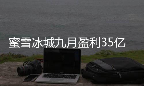 蜜雪冰城九月盈利35亿，见证茶饮巨头的强劲增长力