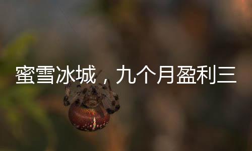 蜜雪冰城，九个月盈利三十五亿，再创饮品行业新奇迹
