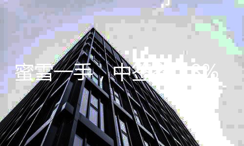 蜜雪一手，中签率达8%，揭示成功背后的秘密