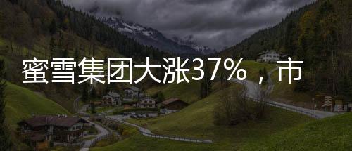 蜜雪集团大涨37%，市值再创新高