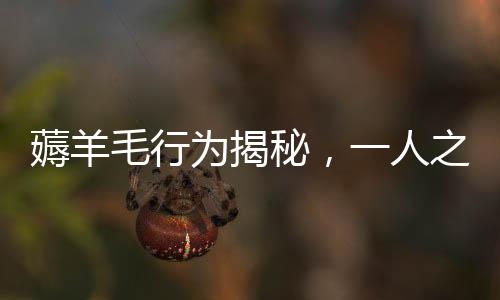 薅羊毛行为揭秘，一人之力，薅出200多万运费险