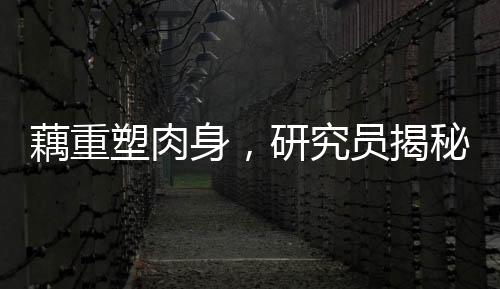 藕重塑肉身，研究员揭秘生命新奇迹