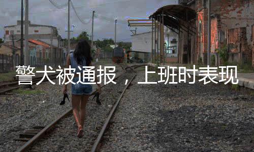 警犬被通报，上班时表现不佳引发关注——一则关于警犬工作状态的深度观察